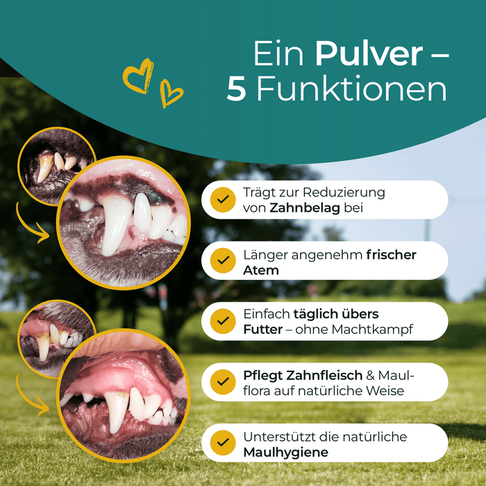 Hundpur® Zähne & Atem