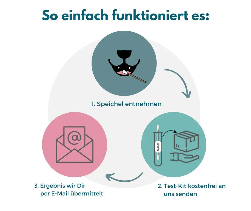 DNA-Erbkrankheiten Analyse Hund