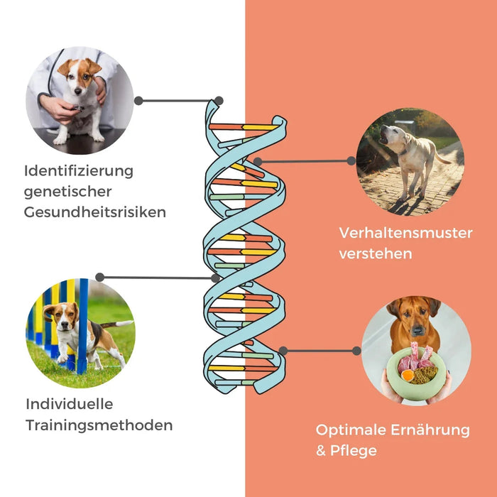 DNA Hunderassenbestimmung