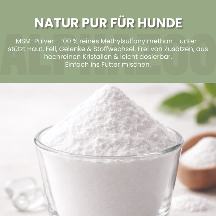 MSM Pulver für Hunde