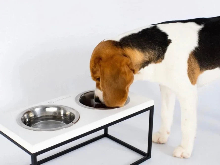 LUNCH BAR Hundenapf / Holz Napfständer mit zwei Edelstahlnäpfen für kleine Hunde / schwarzer Metallrahmen