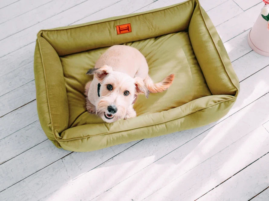 DREAMER orthopädisches Hundebett aus Möbelvelours / gegen Graben und Buddeln resistent