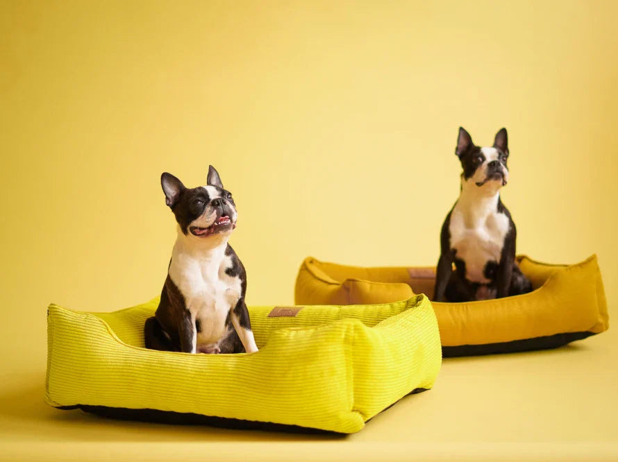DREAMER orthopädisches Hundebett aus Möbelcord mit Handwerklich/ Höchste Funktionalität
