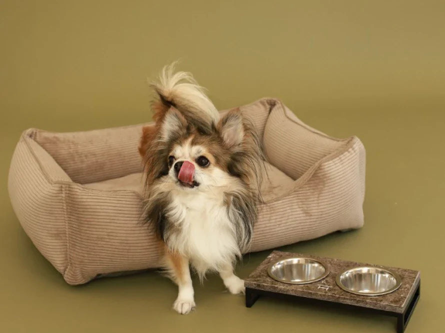 DREAMER orthopädisches Hundebett aus Möbelcord mit Handwerklich/ Höchste Funktionalität