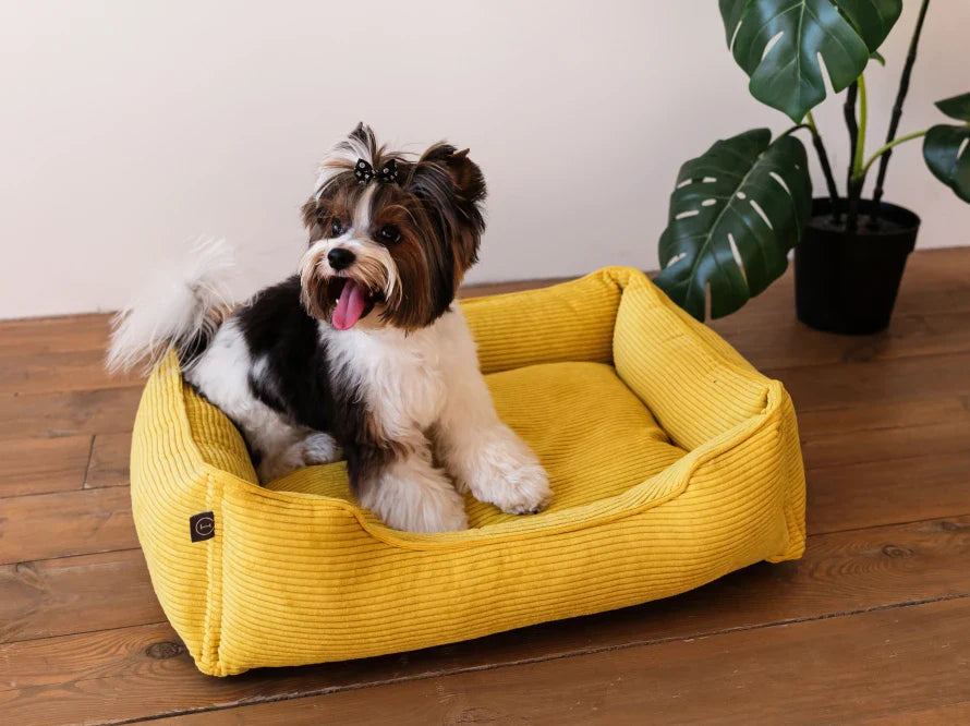 DREAMER orthopädisches Hundebett aus Möbelcord mit Handwerklich/ Höchste Funktionalität