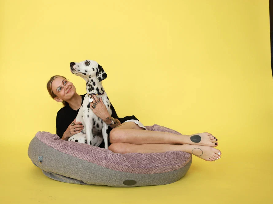 DONUT Hundebett aus langlebigem Soft-Touch-Möbelstoff
