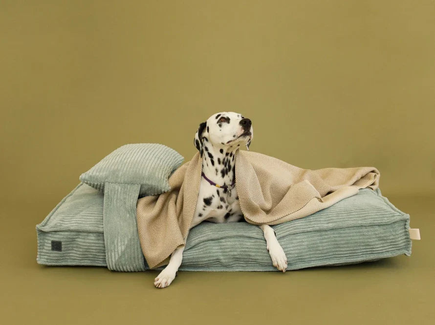 Orthopädische MEMORY FOAM Hundekissen aus Möbelcord / Premium Hundebett für mittlere und große Hunde / Hundematratze
