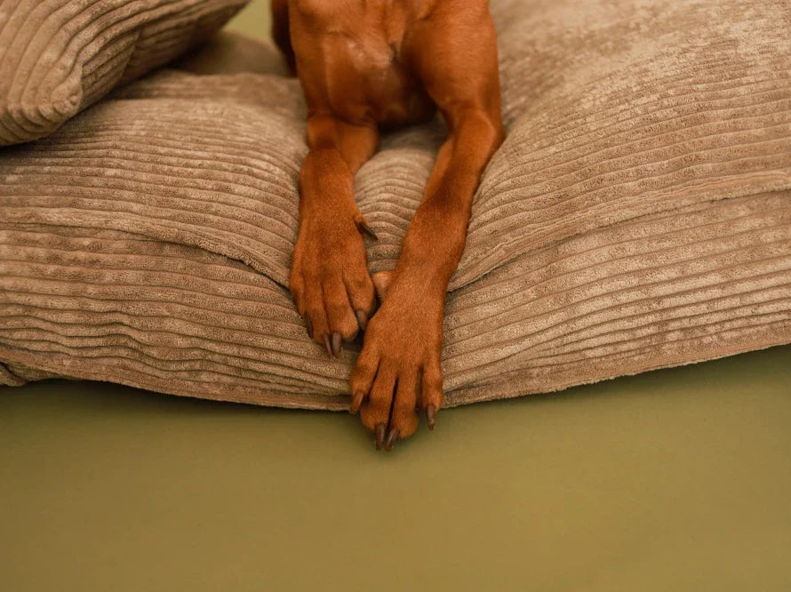 Orthopädische MEMORY FOAM Hundekissen aus Möbelcord / Premium Hundebett für mittlere und große Hunde / Hundematratze