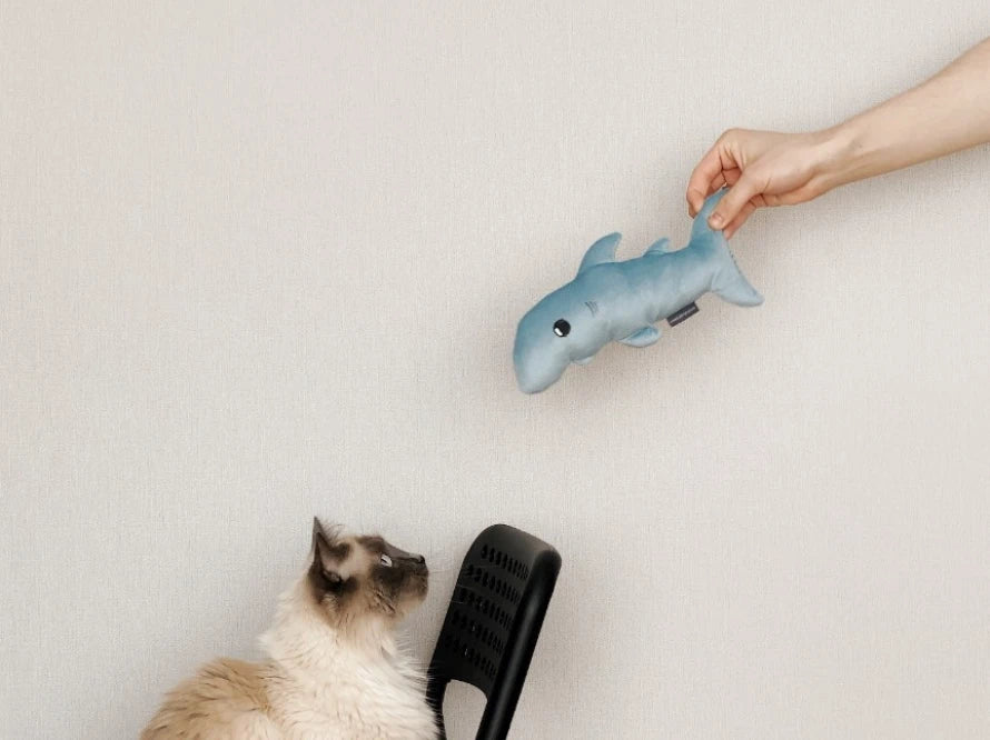 BABY SHARK Katzenspielzeug / interaktives Plüschtier / sanftes Rascheln