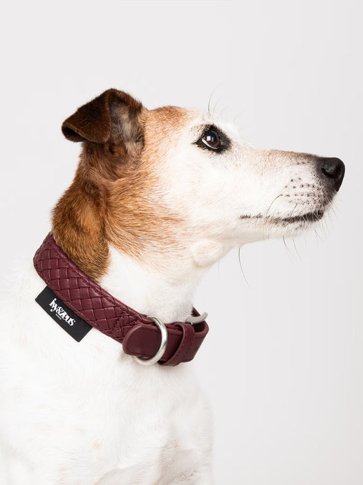 Handgeflochten & Limitiert: Halsband Rusty in Bordeaux