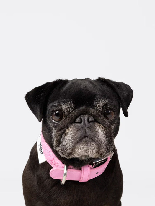 Handgeflochten & Limitiert: Halsband Daisy in Rosa