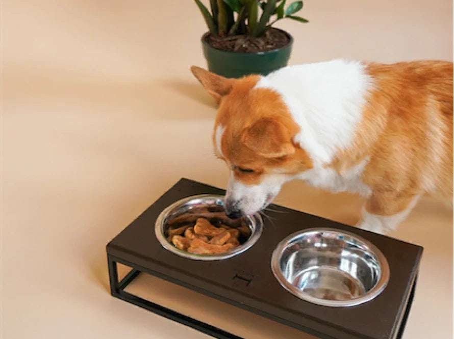 LUNCH BAR Hundenapf / Holz Napfständer mit zwei Edelstahlnäpfen für kleine Hunde / schwarzer Metallrahmen