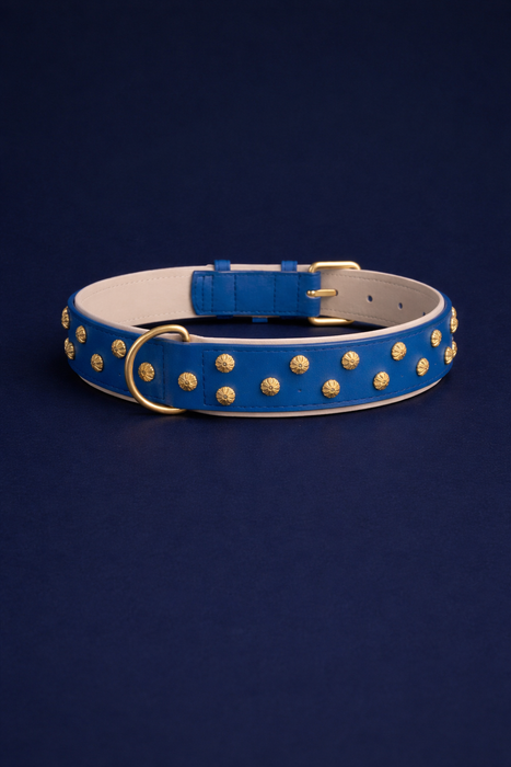 URBAN no.03 - Hundehalsband mit Goldakzenten