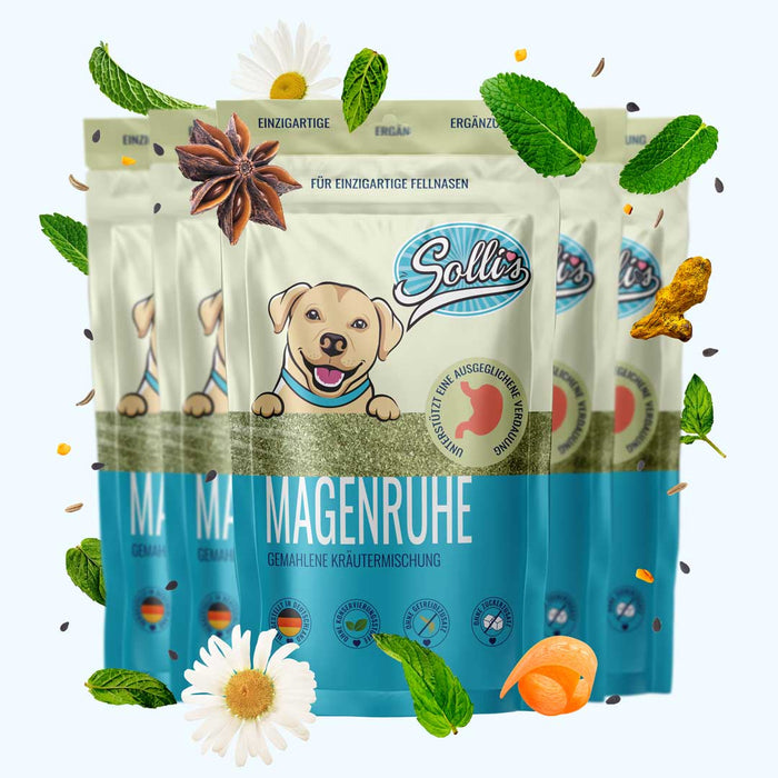 Kräuterliebe Magenruhe - Für einen entspannten Magen