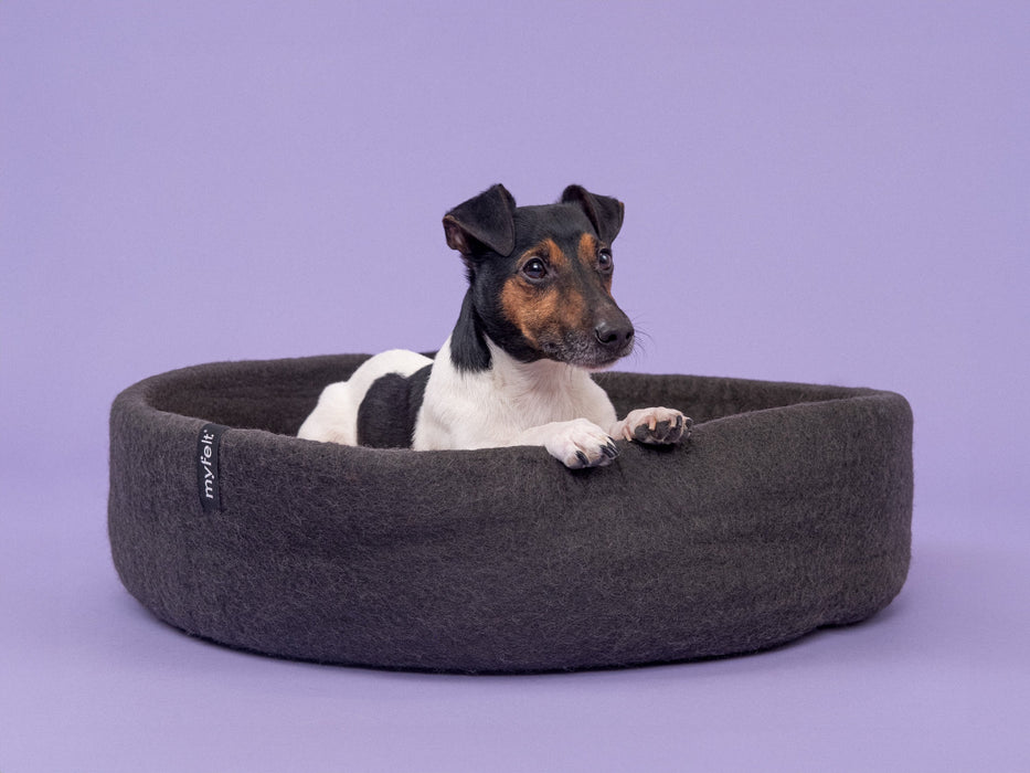 Kuno Hundekorb