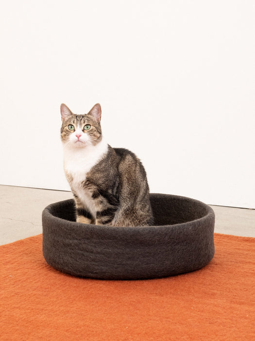 Kuno Katzenkorb