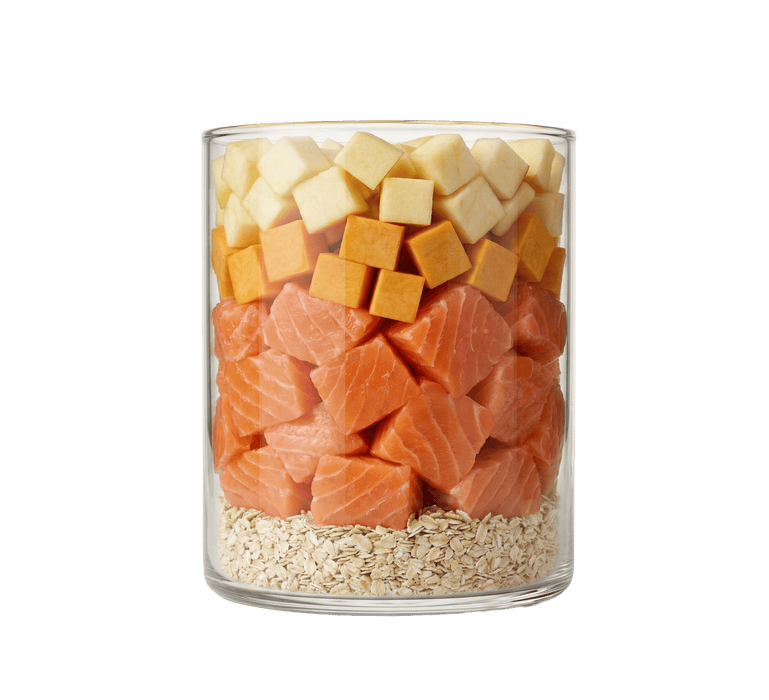 Lachs mit Kürbis, Haferkleie und Apfel