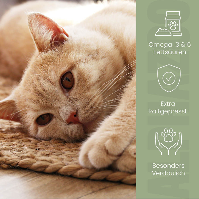 Leinöl für Katzen