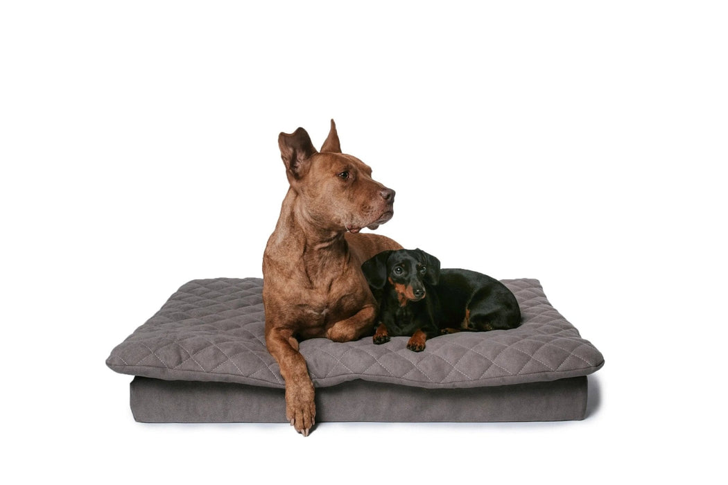 Lous 2 in 1 Hundebett mit abnehmbarem Topper für zu Hause und unterwegs.