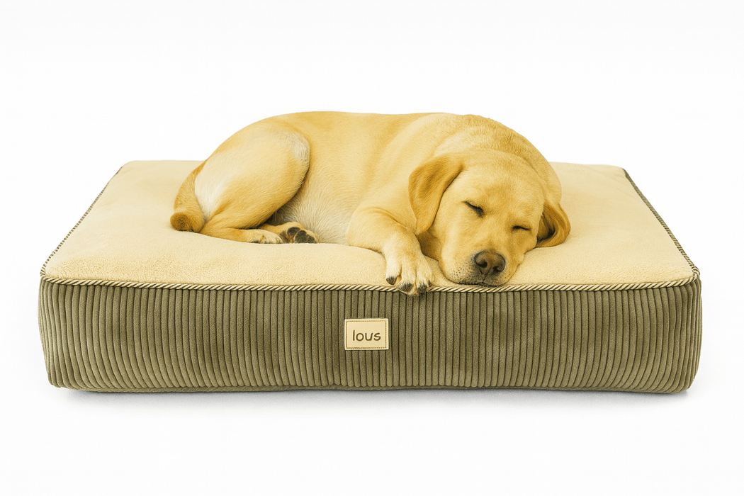 Lou's Premium Orthopädisches Hundekissen mit abnehmbarem waschbarem Bezug