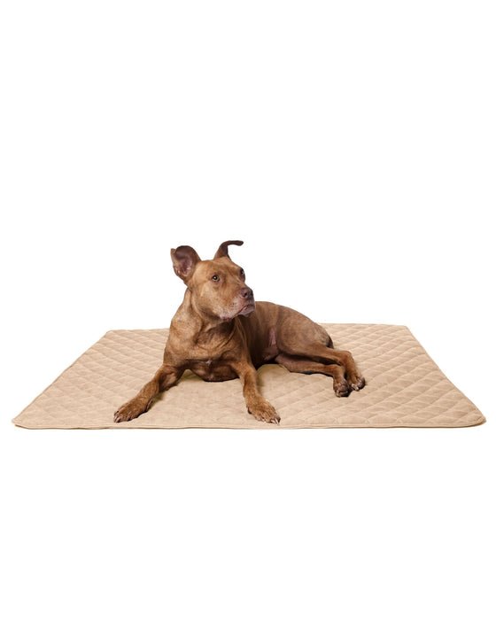 Lou's große und stilvolle Hundedecke