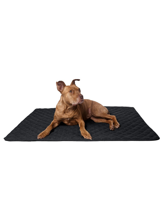 Lou's große und stilvolle Hundedecke