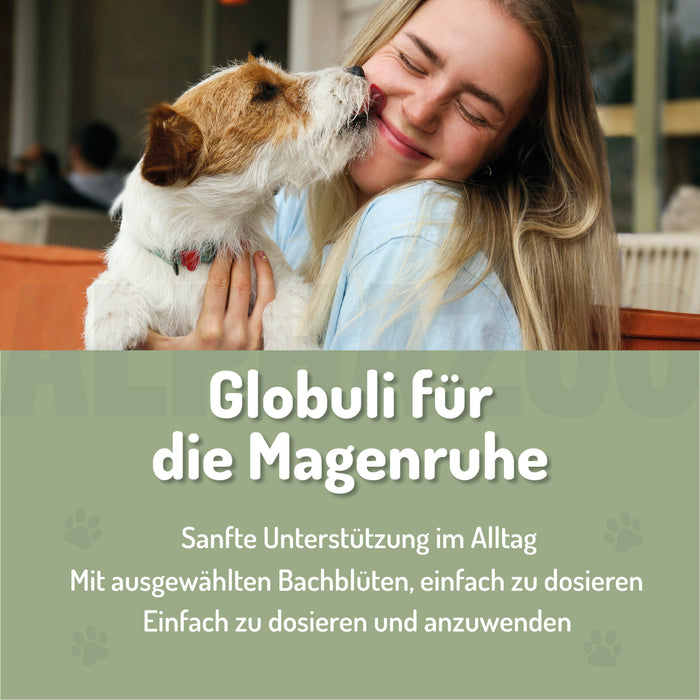 Magenruhe Bachblüten