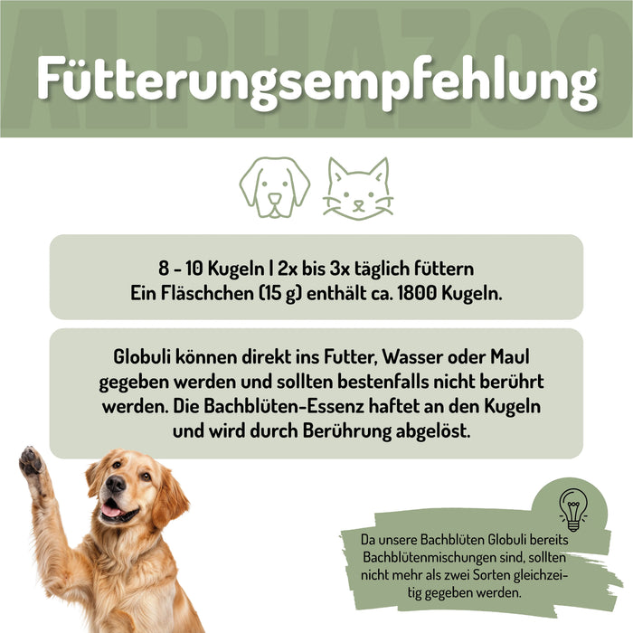 Magenruhe Bachblüten