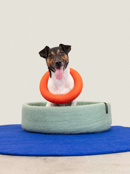 Fine Hundespielzeug - Ring