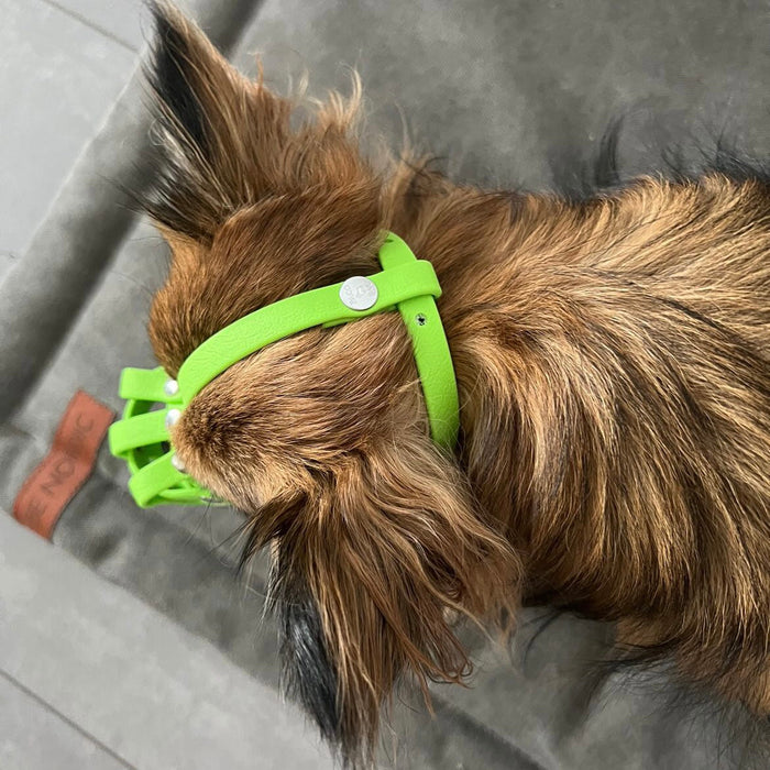 BioThane® Maulkorb Chihuahua ca. 2-3kg kurze Schnauze (Umfang 11-13cm, NL bis 3cm)