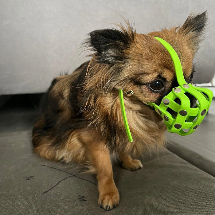 BioThane® Maulkorb Chihuahua ca. 2-3kg kurze Schnauze (Umfang 11-13cm, NL bis 3cm)