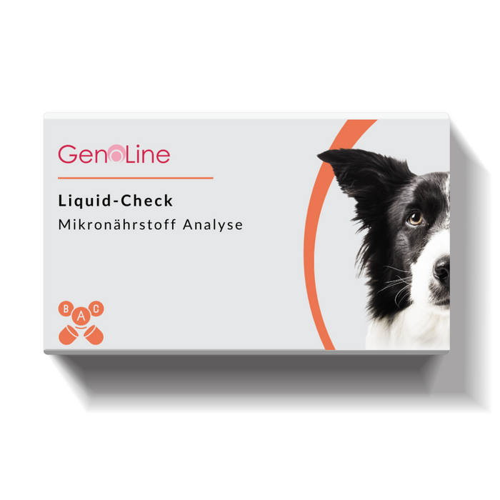 Mikronährstoff-Test Hund