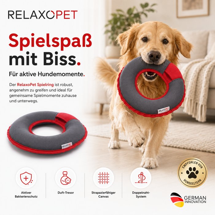 PLAY | Multi-Ring