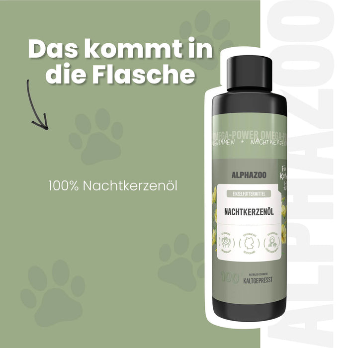 Nachtkerzenöl für Katzen