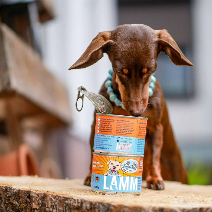 Nassfutter Lamm | Adult
