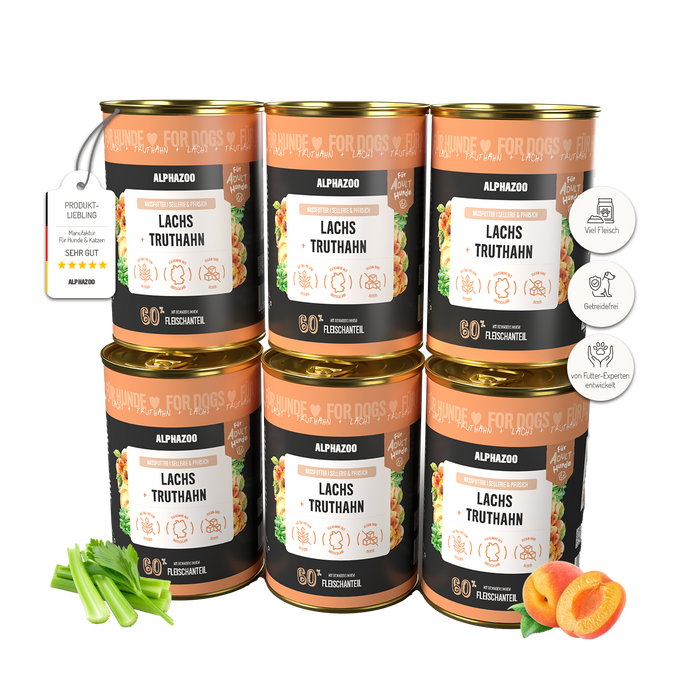 Lachs + Truthahn Nassfutter für Adult Hunde