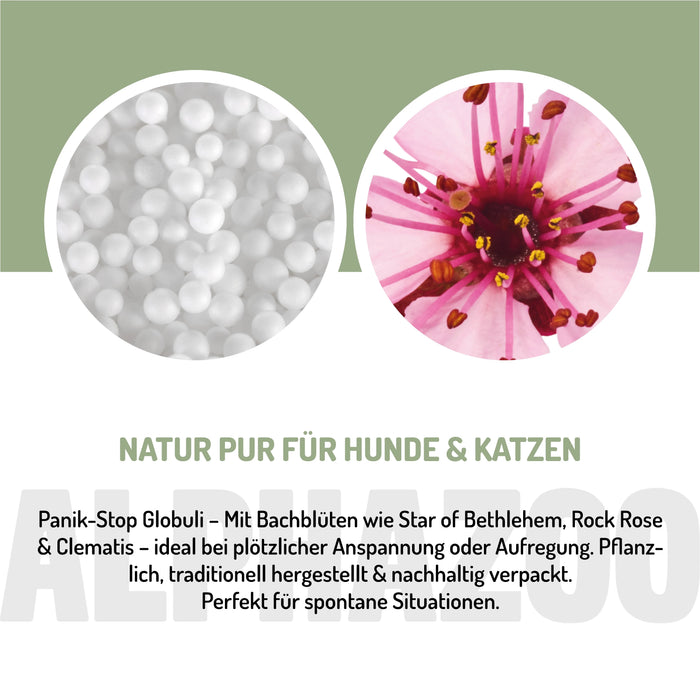 Panik Stop Bachblüten