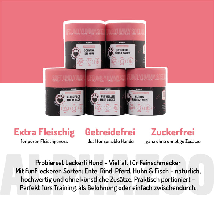 Probierset Leckerli Hund