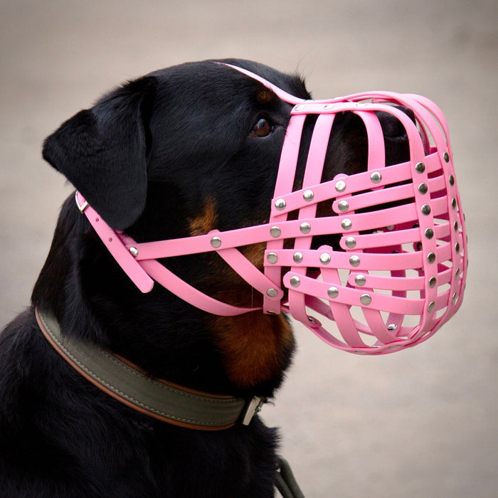 Maulkorb Rottweiler ca. 36-40kg, Umfang 36-38cm, NL bis 8cm