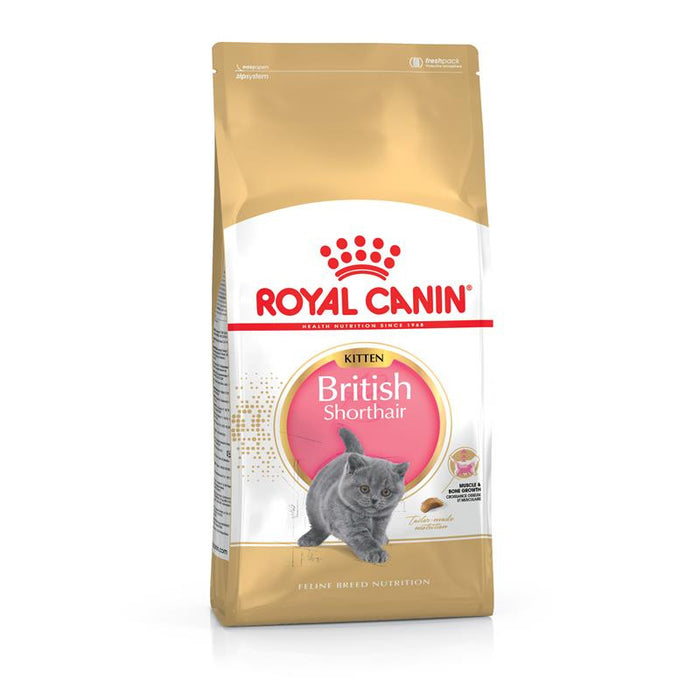 Royal Canin Feline Breed Nutrition British Shorthair Kitten