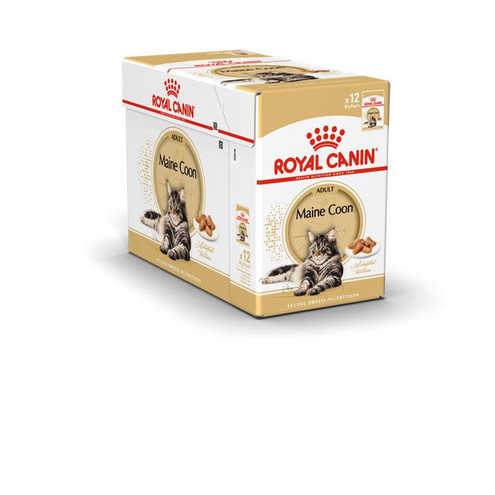 Royal Canin Feline Breed Health Nutrition Maine Coon 12x85g