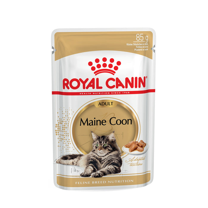 Royal Canin Feline Breed Health Nutrition Maine Coon