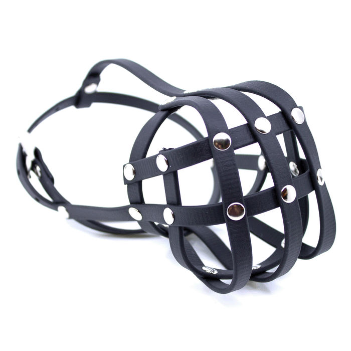 BioThane® Maulkorb Boston Terrier ca. 8-12kg längere Schnauze (Umfang 22-24cm, NL ca. 3-5cm)