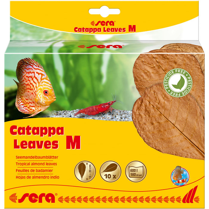 sera Catappa Leaves 10 Stück