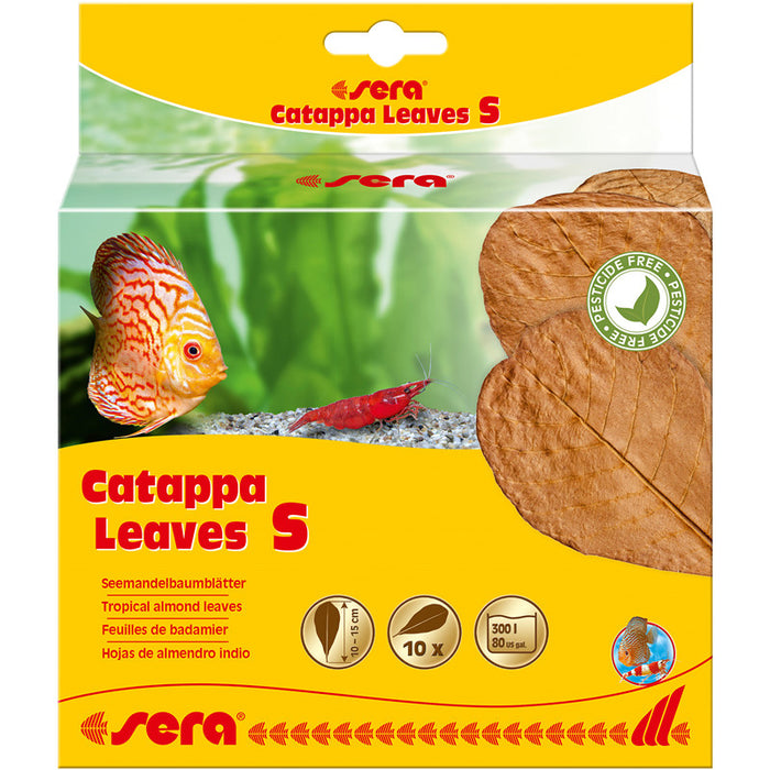 sera Catappa Leaves 10 Stück