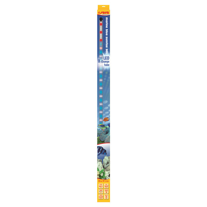 sera LED marine blue sunrise 965