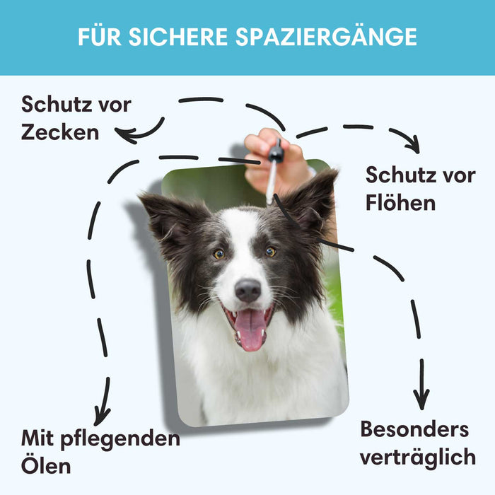 Spot-On | Gegen Zecken, Flöhe, Milben & Stechfliegen