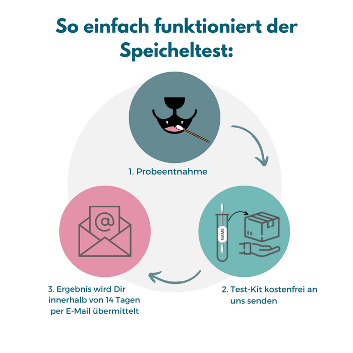 Inhalationsallergene-Test Hund