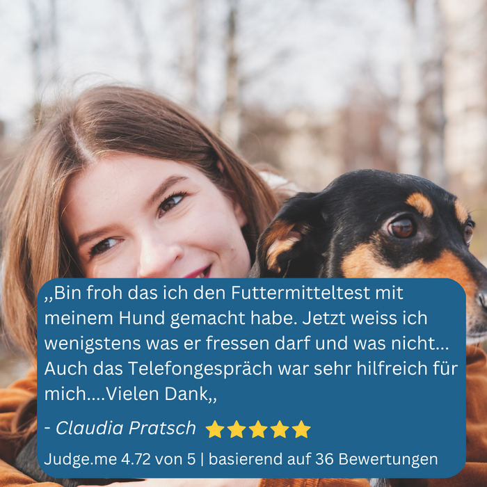 Allergietest Hund