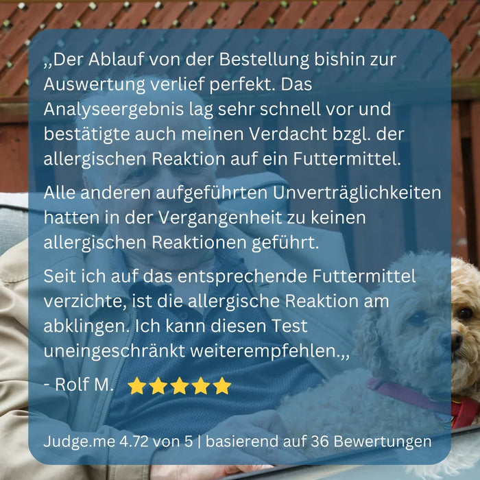 Allergietest Hund